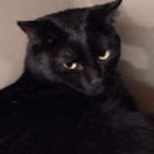 Meet your Posher, Alex